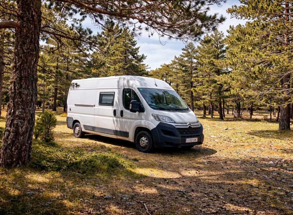 Una autocaravana blanca, que exhibe camperización de furgonetas en Castellón, está aparcada entre altos pinos en un bosque iluminado por el sol. Las sombras bailan sobre el suelo rocoso y cubierto de hierba, creando un ambiente tranquilo y remoto perfecto para aventuras de acampada.
